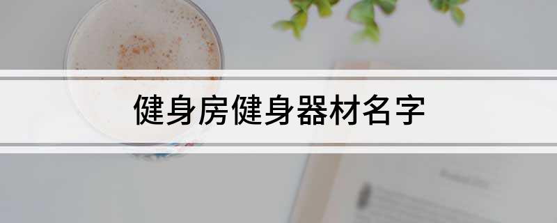 金年会健身房健身器材名字